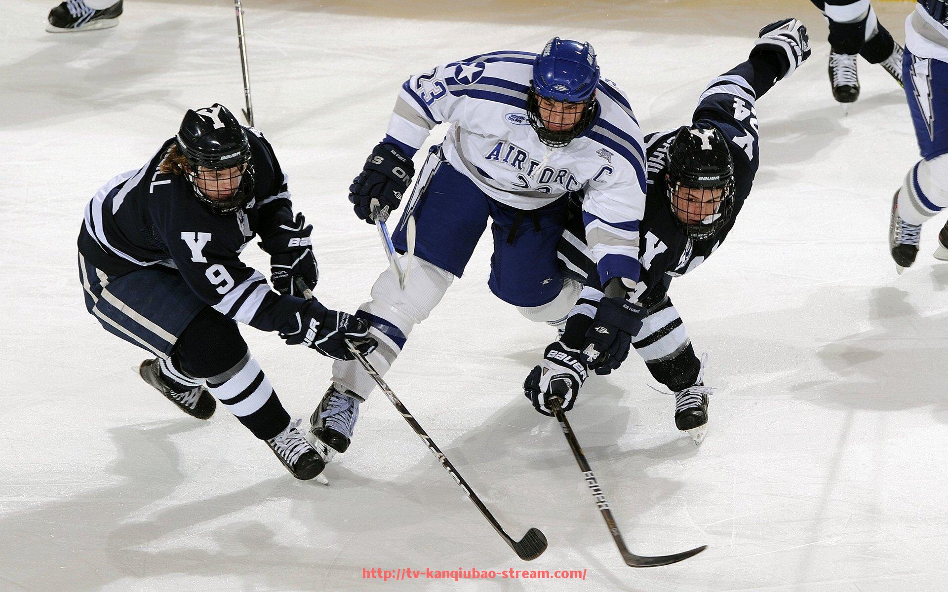 看球宝-火箭队在线比赛录像观看指南及精彩片段推荐